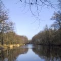 Teich im Tiergarten, 11.02.2000