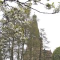 Blüten und Schloss