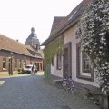Blütenpracht in der Schlossfreiheit