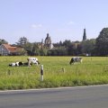 Ansicht von der Weseler Straße, 23.07.2000
